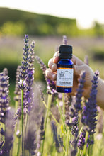 Load image into Gallery viewer, Organic Lavender Essential Oil