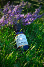 Load image into Gallery viewer, Lavender Essetntial Oil, Mountain Road Estate