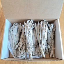 Load image into Gallery viewer, organic salvia Apiana in box, smudge sticks
