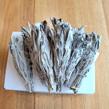 Load image into Gallery viewer, 7 smudge sticks wrapped in organic cotton