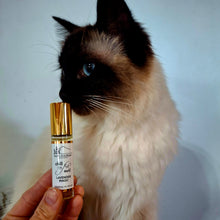 Load image into Gallery viewer, A Little something something