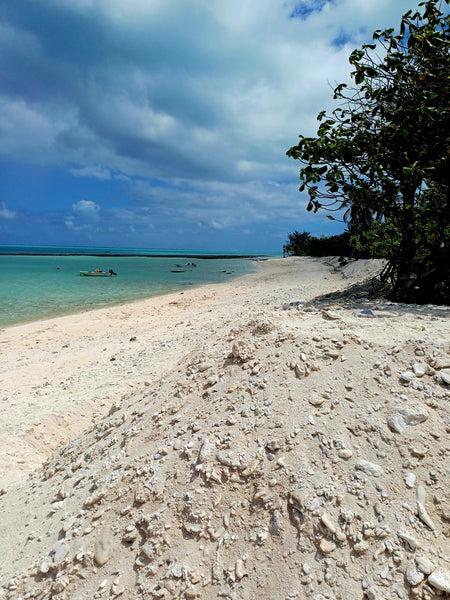 Tahiti Trip-new grounding
