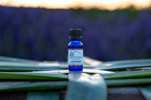 Load image into Gallery viewer, Organic Lavender Essential Oil
