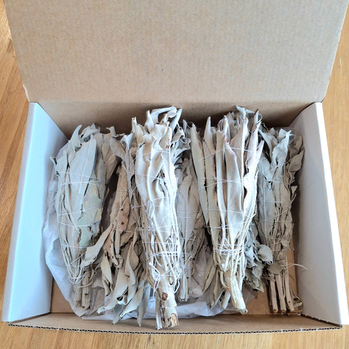 organic salvia Apiana in box, smudge sticks 