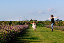 Load image into Gallery viewer, Soothing lavender mist/hydrosol
